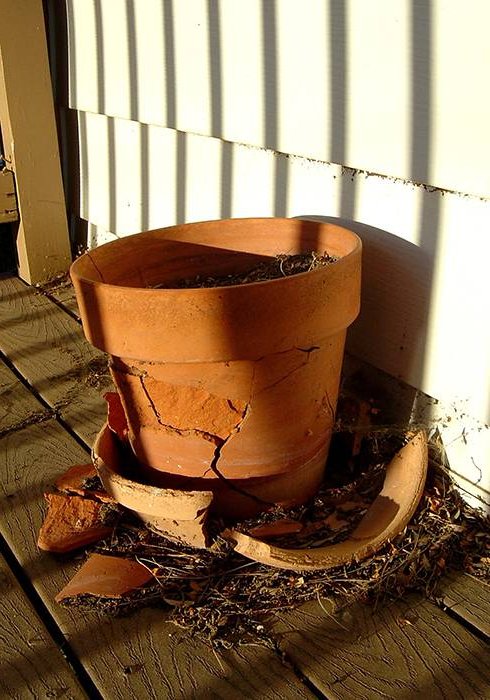 How to restore flower pots