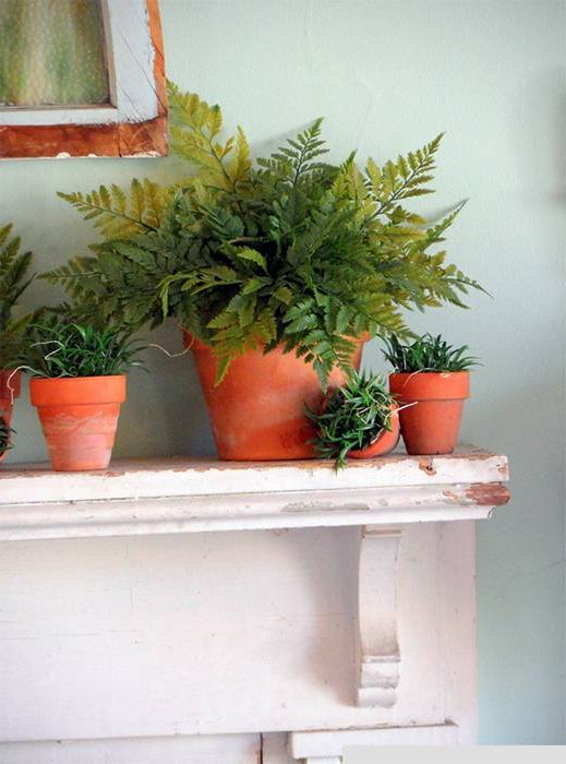 How to restore flower pots