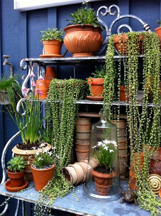 how-to-restore-pots How to restore flower pots