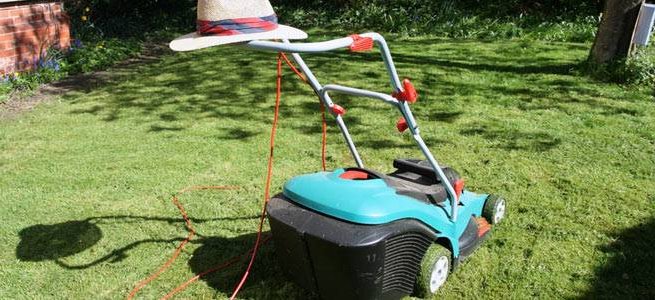 How to maintain your lawn in summer