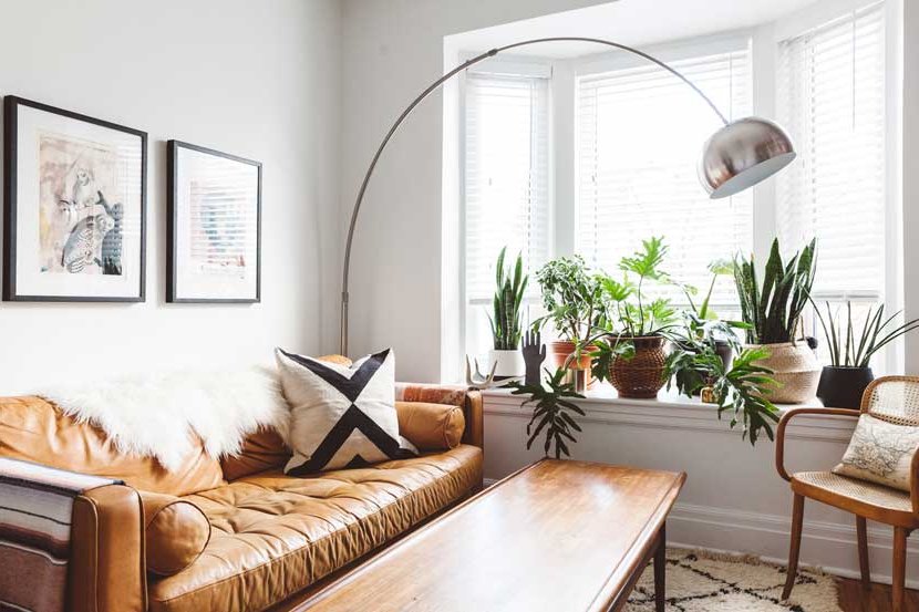 plants in the living room windows