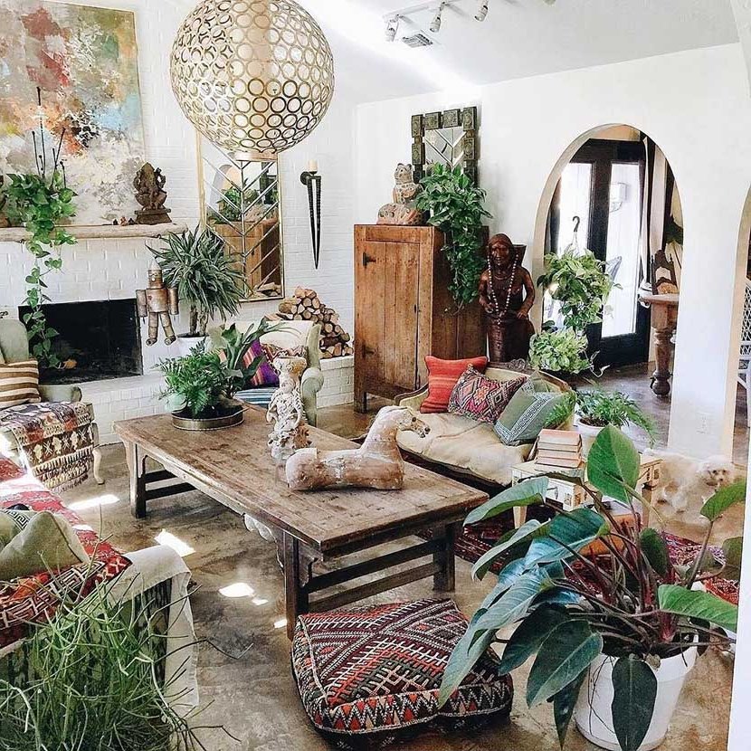 exotic living room plants