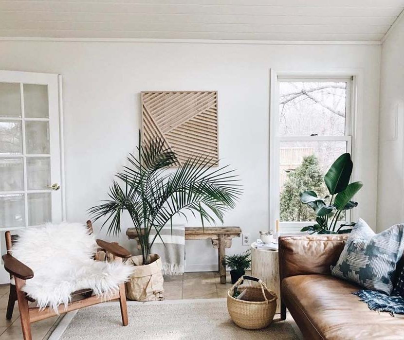 minimalist living room plants