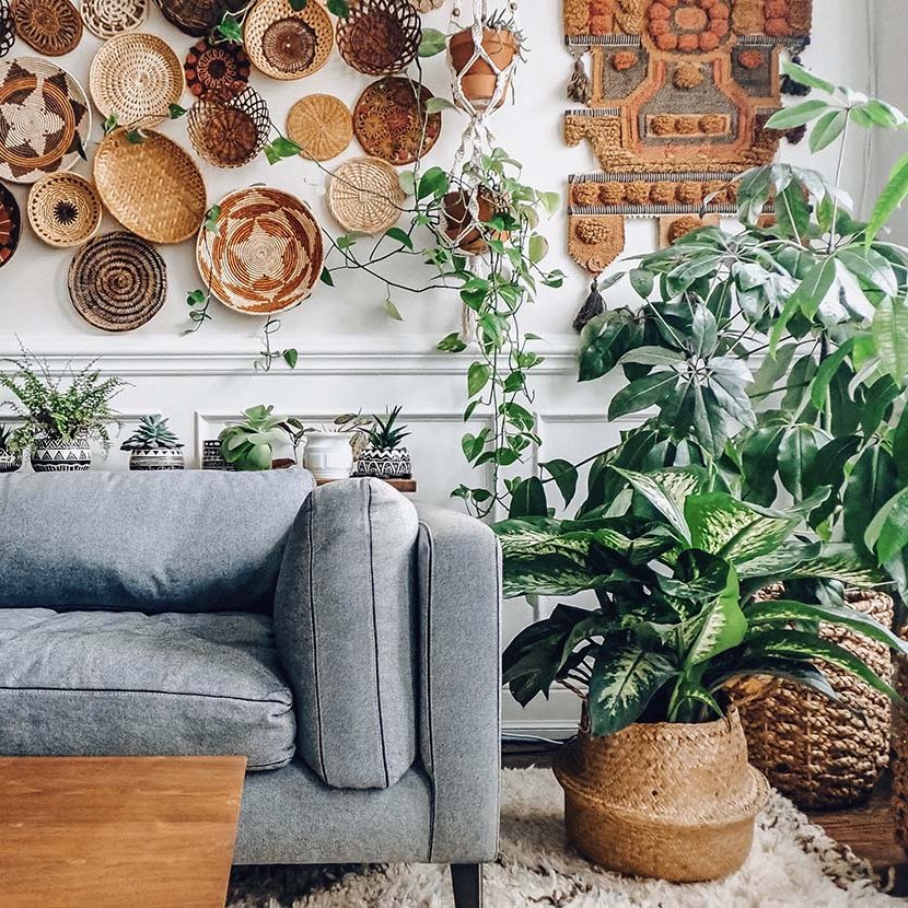 shelf with plants in the living room