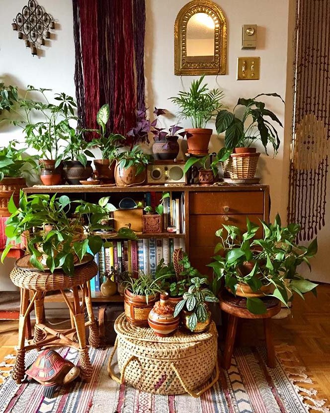 sideboard with plants in the living room