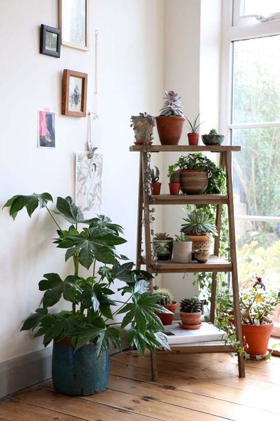 staircase with plants in the living room