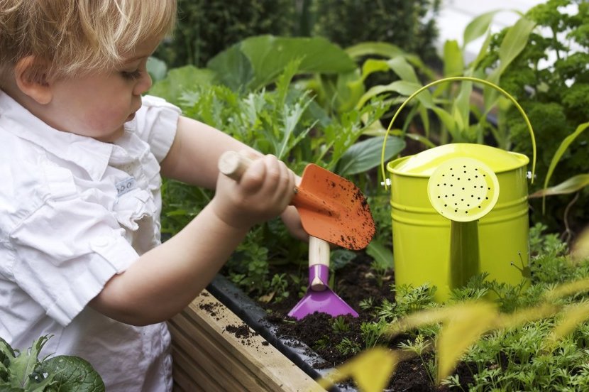 caring for plants with children