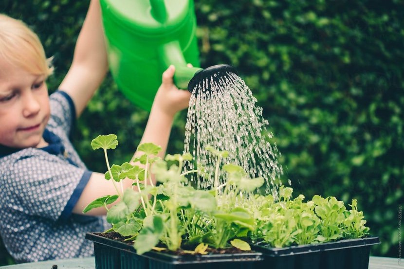 watering with children