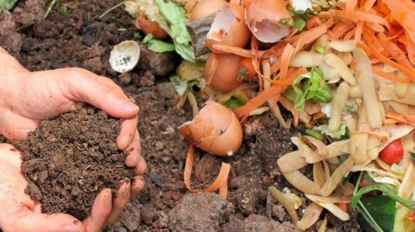 composting