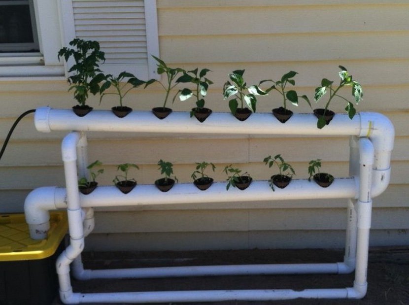 home hydroponic cultivation