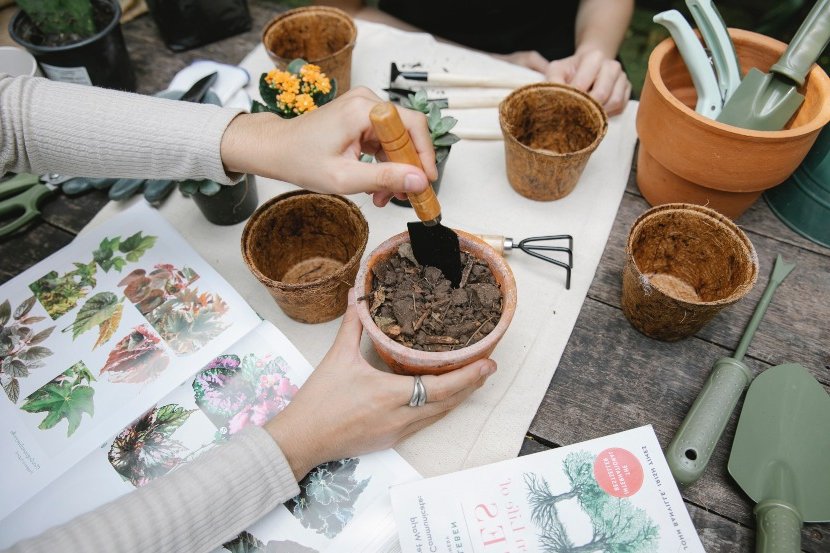 basic tools of a plant lover