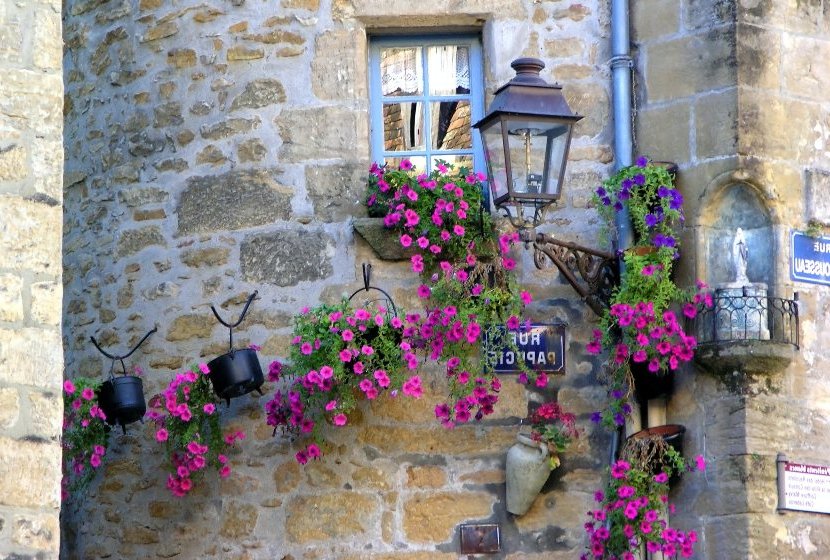 outdoor plants