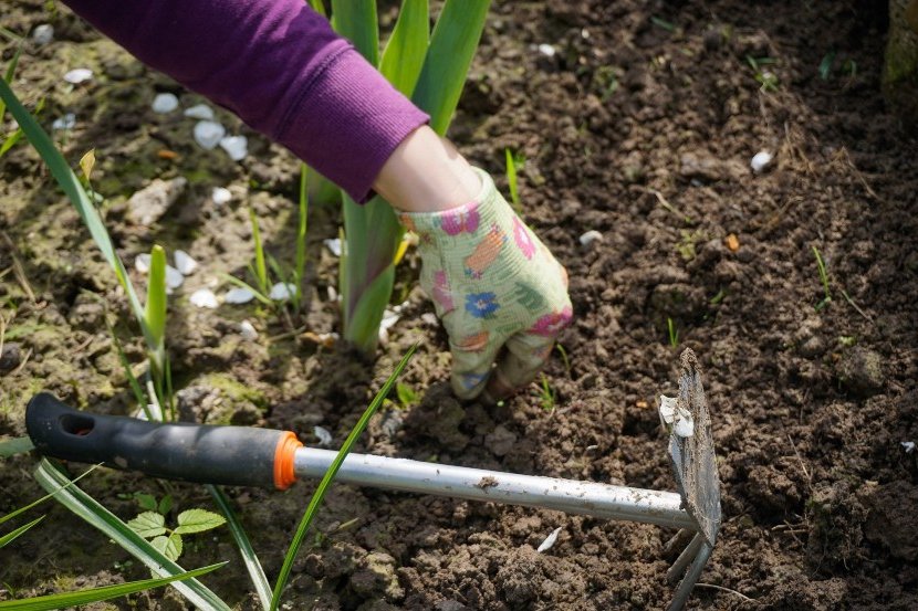 tools to eliminate weeds