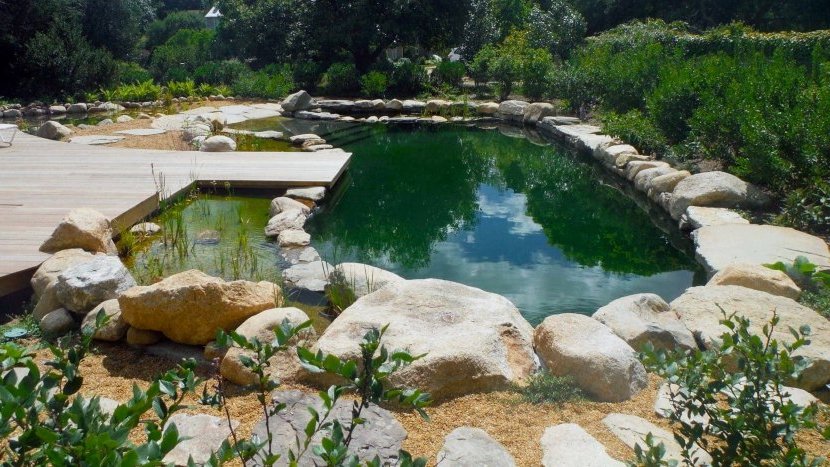 advantages of natural pools