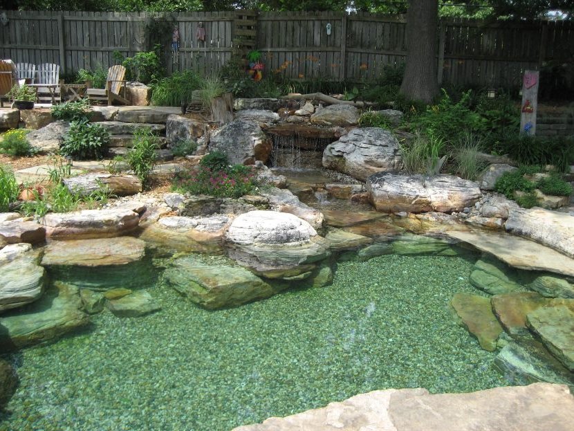 building a swimming pool pond step by step