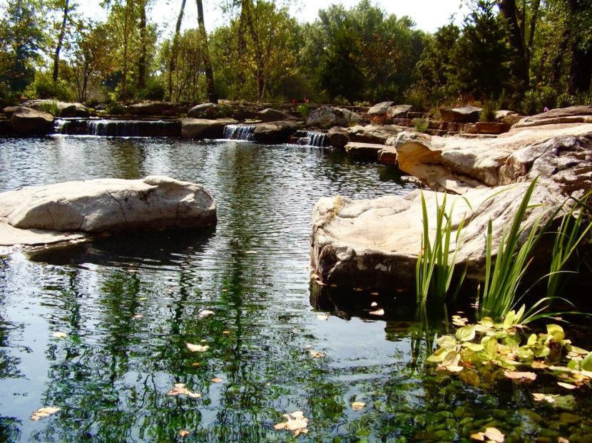 how a natural swimming pool works