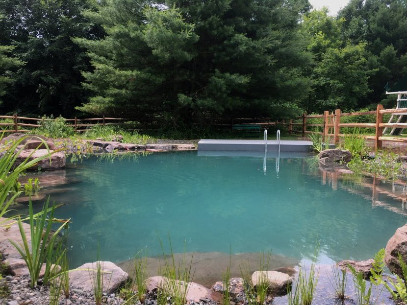 How to build a pond-pool in the garden