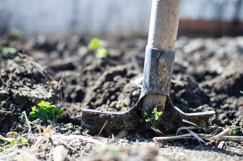 preparing the ground for planting grass