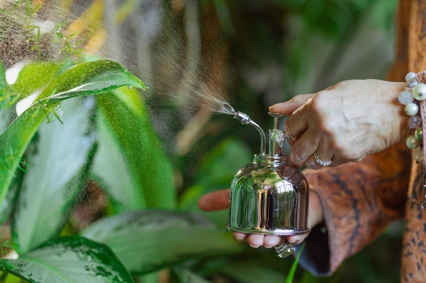 eliminate insects from the garden with infusions