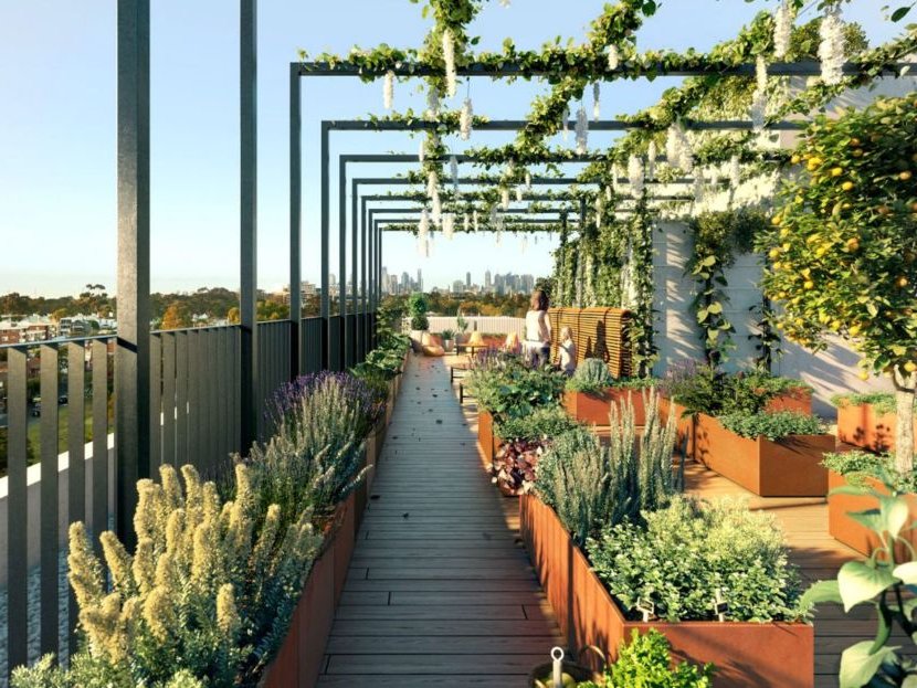 ideas for a rooftop garden