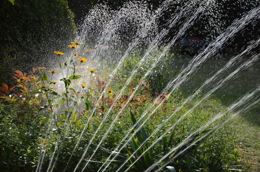 tricks to save irrigation water