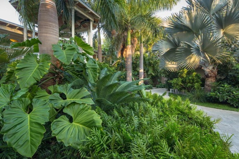 tropical landscaping