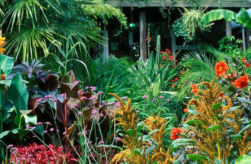 what is tropical landscaping