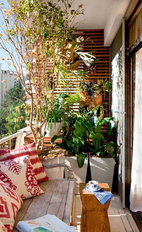 decorating a terrace with plants