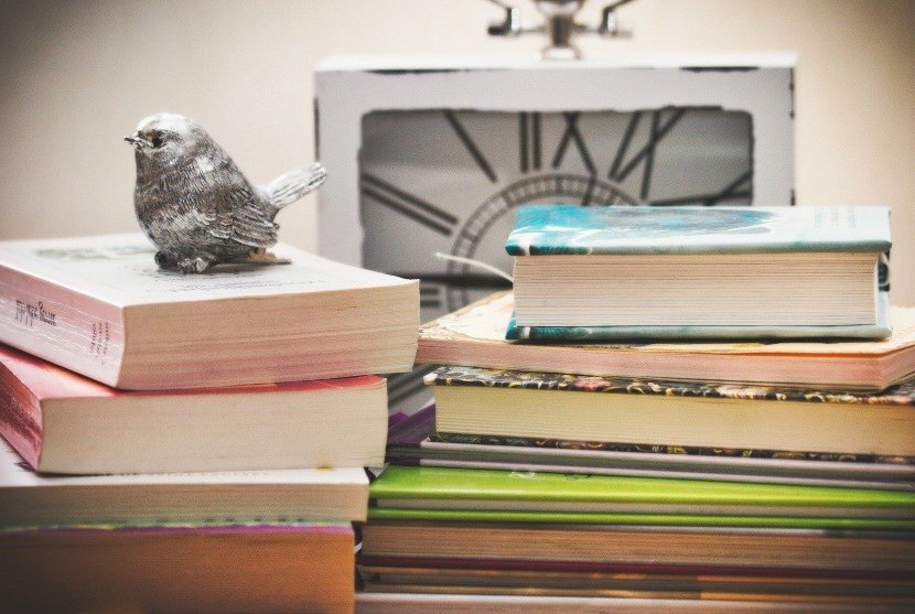 tsundoku vs marie kondo method