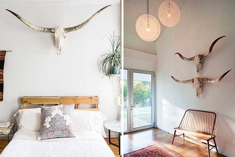 How to decorate with ox heads