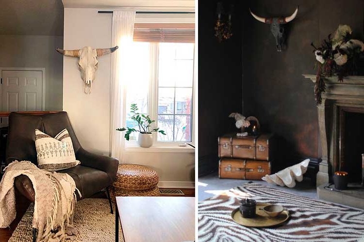 Ideas for decorating with American Ox Heads