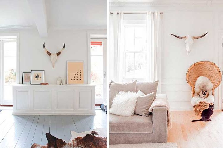 Ideas for decorating with American Ox Heads