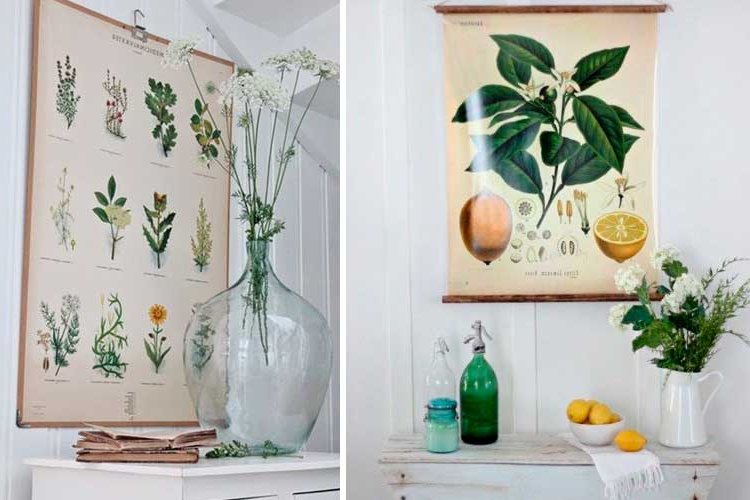 Botanical decoration for the home