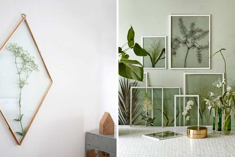 Botanical decoration for the home