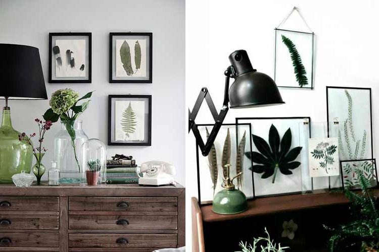 Botanical decoration for the home