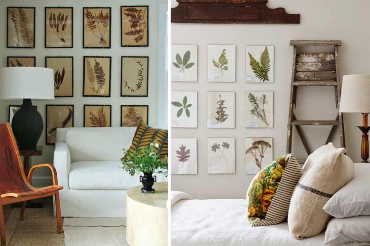 Botanical decoration for the home