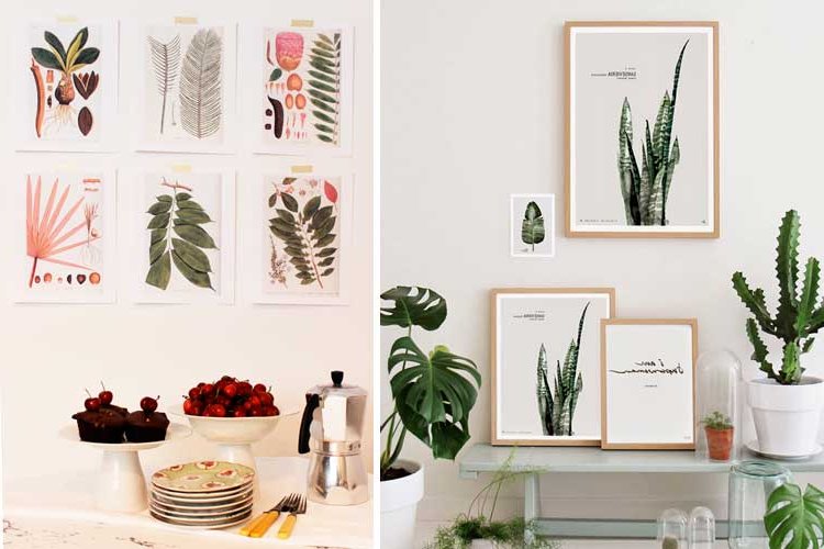 Botanical decoration for the home