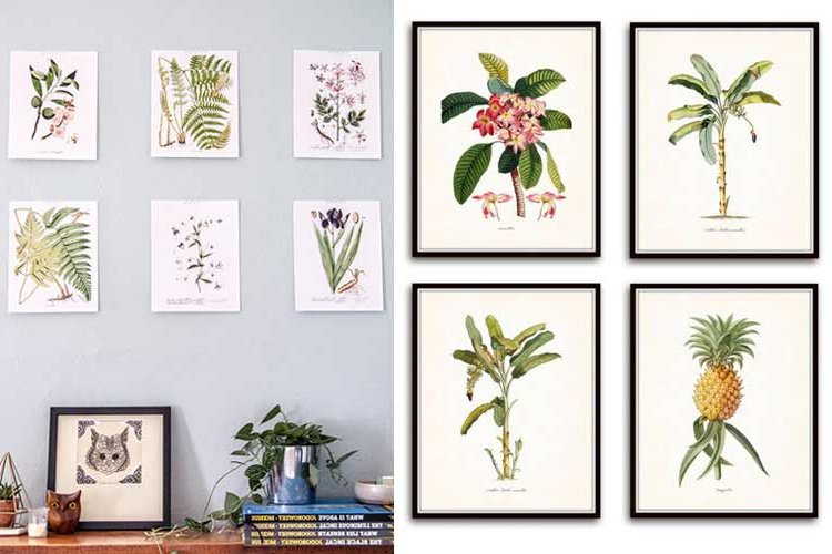 Botanical decoration for the home