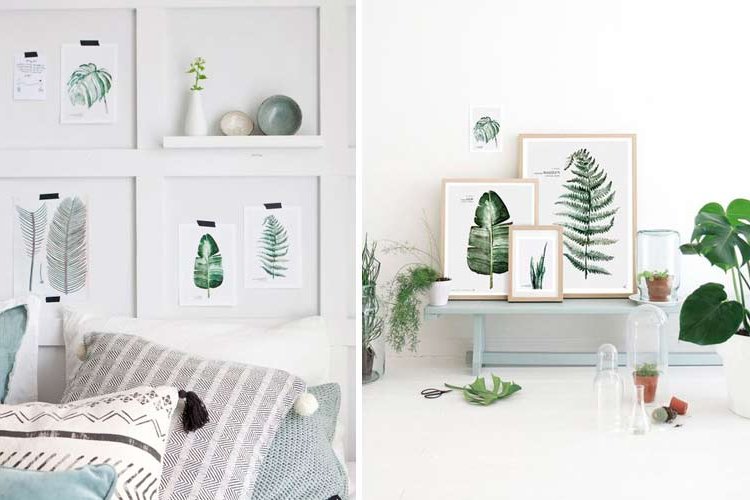 Botanical decoration for the home