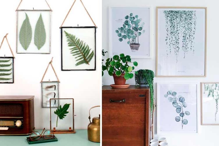 Botanical decoration for the home