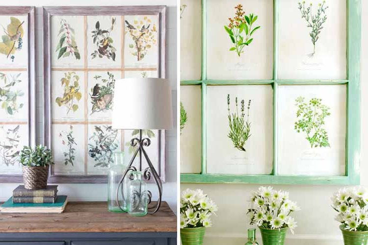 Botanical decoration for the home