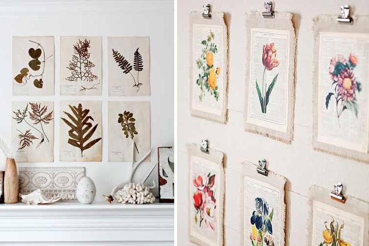 Botanical decoration for the home