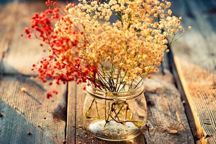 Dried flowers