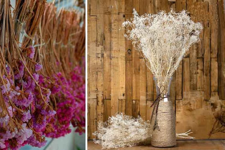 Dried flowers