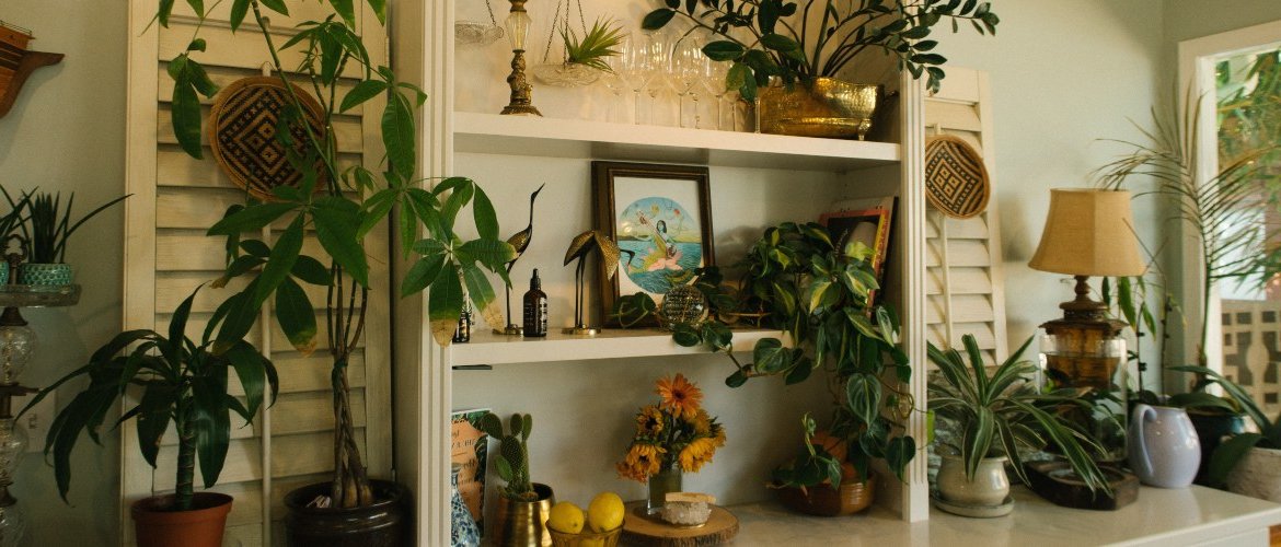 A room-by-room guide to choosing the right plants and flowers