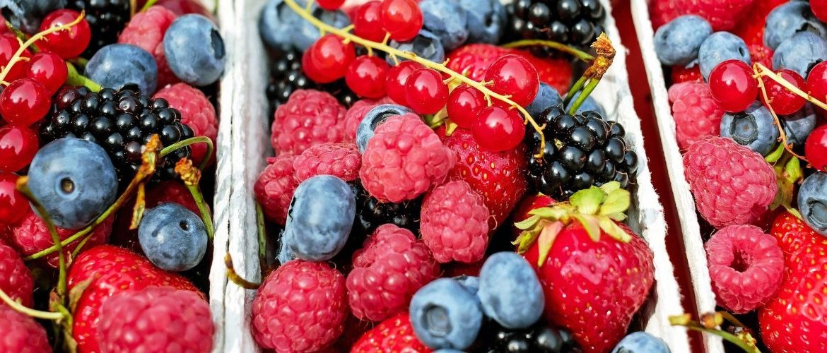 How to grow berries in your kitchen